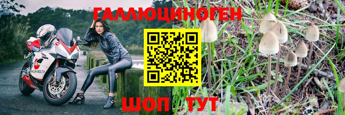 Галлюциногенные грибы прущие грибы  Вход с VPN  дарнет шоп  Псилоцибиновые грибы ЛСД  Сокол 