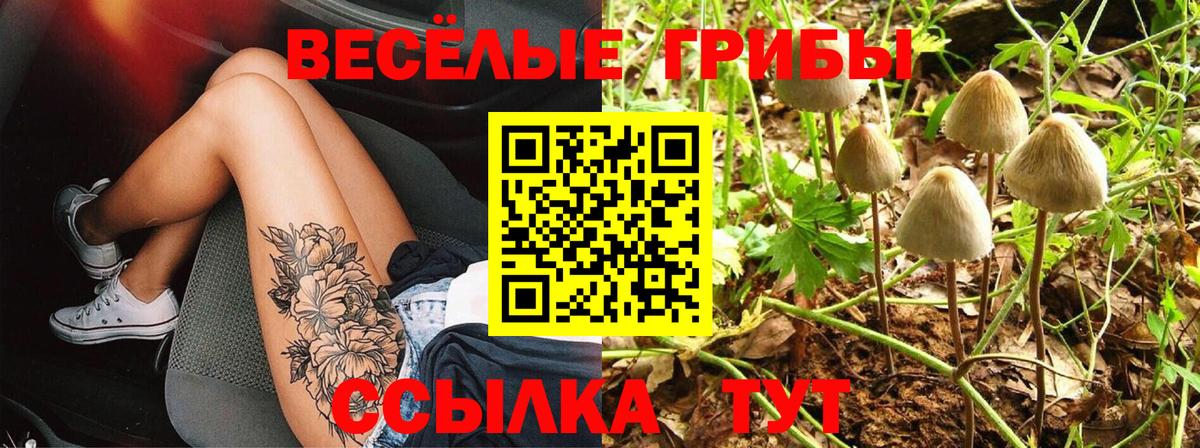 Галлюциногенные грибы мухоморы Сокол